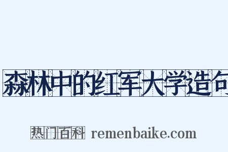 森林中的红军大学造句是什么意思的图片